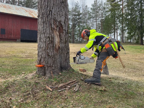 Markfällning